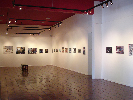 expo